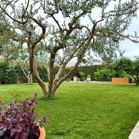 Sara Novigrad (Istria)